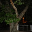 하강마을회관 이미지