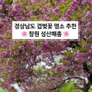 성산패총로 이미지