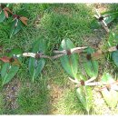 빛나몬테소리유치원 이미지