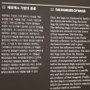'에르메스(Hermes) 가방이야기' 전시 후기(ONCE UPON A BAG), 서울숲 디뮤지엄 방문, 디뮤지엄 에르메스...