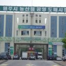 원주시농산물도매시장 뉴스에이