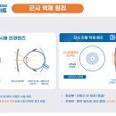 봄빛 안경 이미지