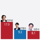 리서치뷰 여론 조사 ..... 문재인 28.1% 이미지