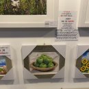 김지산 복싱센터 이미지