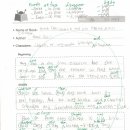 신봉초등학교 이미지