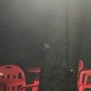 총각네정육마트 - 인제군 비봉로 13-1 | 총각네정육마트