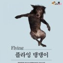 플라잉펫 이미지