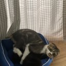 진고마을 이미지