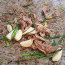 오리마시떼 이미지