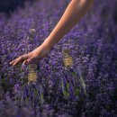 옥계북로12길-1 이미지