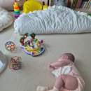 도신체육관 이미지