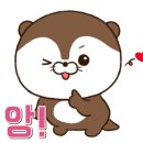 육회밤바다 이미지