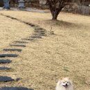 메르시 펜션 이미지