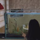 슬로우코티지 이미지