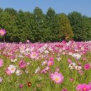 한강시민공원 시계탑 이미지