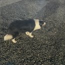 오오펜션 이미지