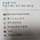 식구인터내셔널 | 코스타세레나 크루즈 여행 공연 후기 총정리
