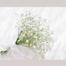 재원비디오 이미지