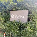 청산1954 | 부산 광안리 맛집 청산1954 솔직후기 현지인이 데려간 찐 맛집