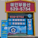 해안공인중개사사무소 네이버블로그