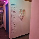 경원소프트 | [강남역룸술집] 7번방 강남점 후기 | 단숨에 해외여행 떠나는 술집 | 룸비용정보