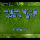 전북김제원평초등학교-박인선생님-6학년 부채춤 이미지