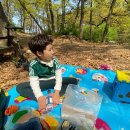 모담산 유아숲체험원 이미지