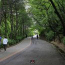 걷고 싶은 누리길 이미지