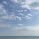 울산 1박 2일 여행 - 울산 가볼만한 곳, 1박2일 여행 코스 추천, 맛집 추천(포레이브 카페, 덕클) 2일차