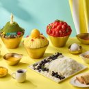 서울안경랜드 이미지