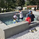 연출의 자유인 이미지