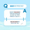 부르스타짐(주) 이미지