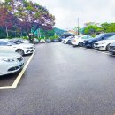 달맞이흑두부 이미지