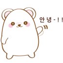 루리 머리방
