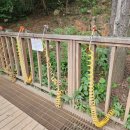 용화약수터 이미지