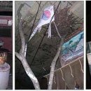 팔육상회 이미지