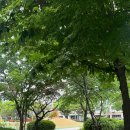 내촌어린이공원 이미지