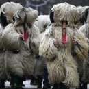 월드포장 이미지