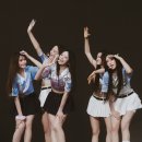 미미여행사 이미지