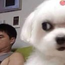 신의한수 뽑기방 | 나고야여행 2박3일 자유여행 1일차 코스 총정리_야바톤, 몬자야끼, 오아시스21, 아카짱혼포