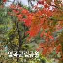경남 함안 입곡군립공원 주차장 가을 단풍 아이들과 가볼만한곳 입곡국립공원