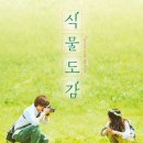 식물도감 이미지