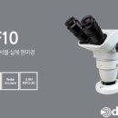 디엠치과기공소 이미지