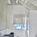 윌리스펫 이미지