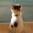 운동농장 이미지