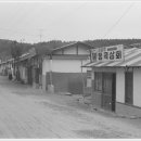 동곡상회 Daum카페