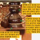 술 이야기 IV. 우리 술(1): 탁주, 청주, 소주