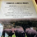가양역 1번출구 | [가양역 맛집] 허고짚 후기