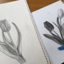 2018 ACC 아트트레일러 네이버블로그