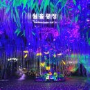 광명동굴 이미지